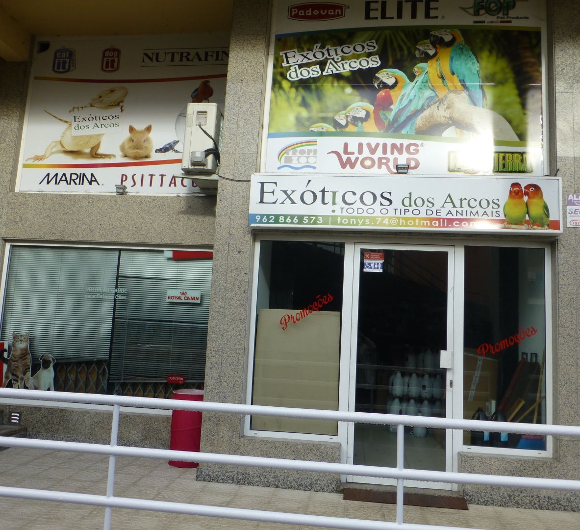 EXÓTICOS DOS ARCOS