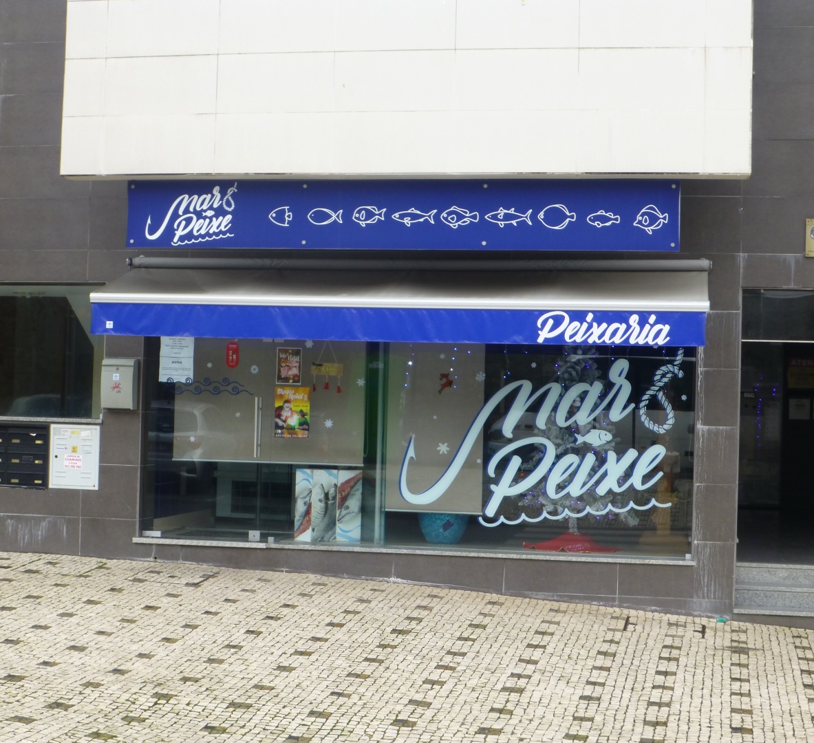 MAR & PEIXE