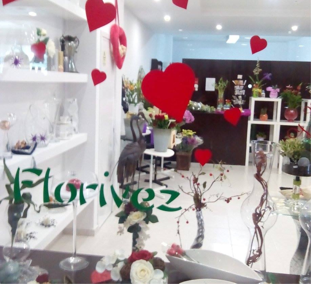 FLORIVEZ